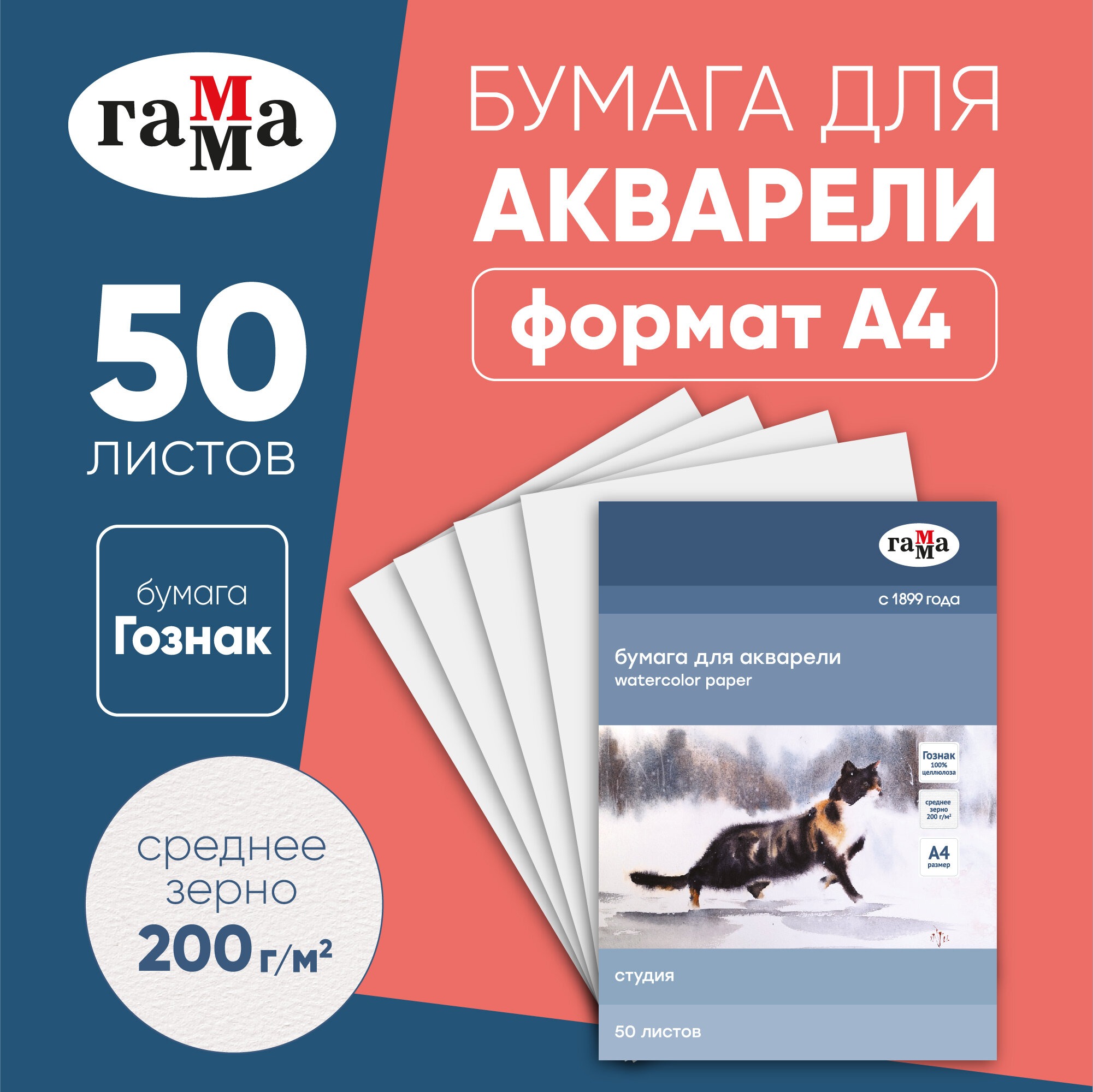 Папка для акварели Gamma_ 50л. А4 Студия 200г/м2 среднее зерно - фото 1