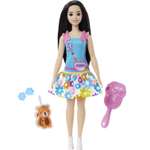 Кукла Barbie Рене с черными волосами и белкой HLL22