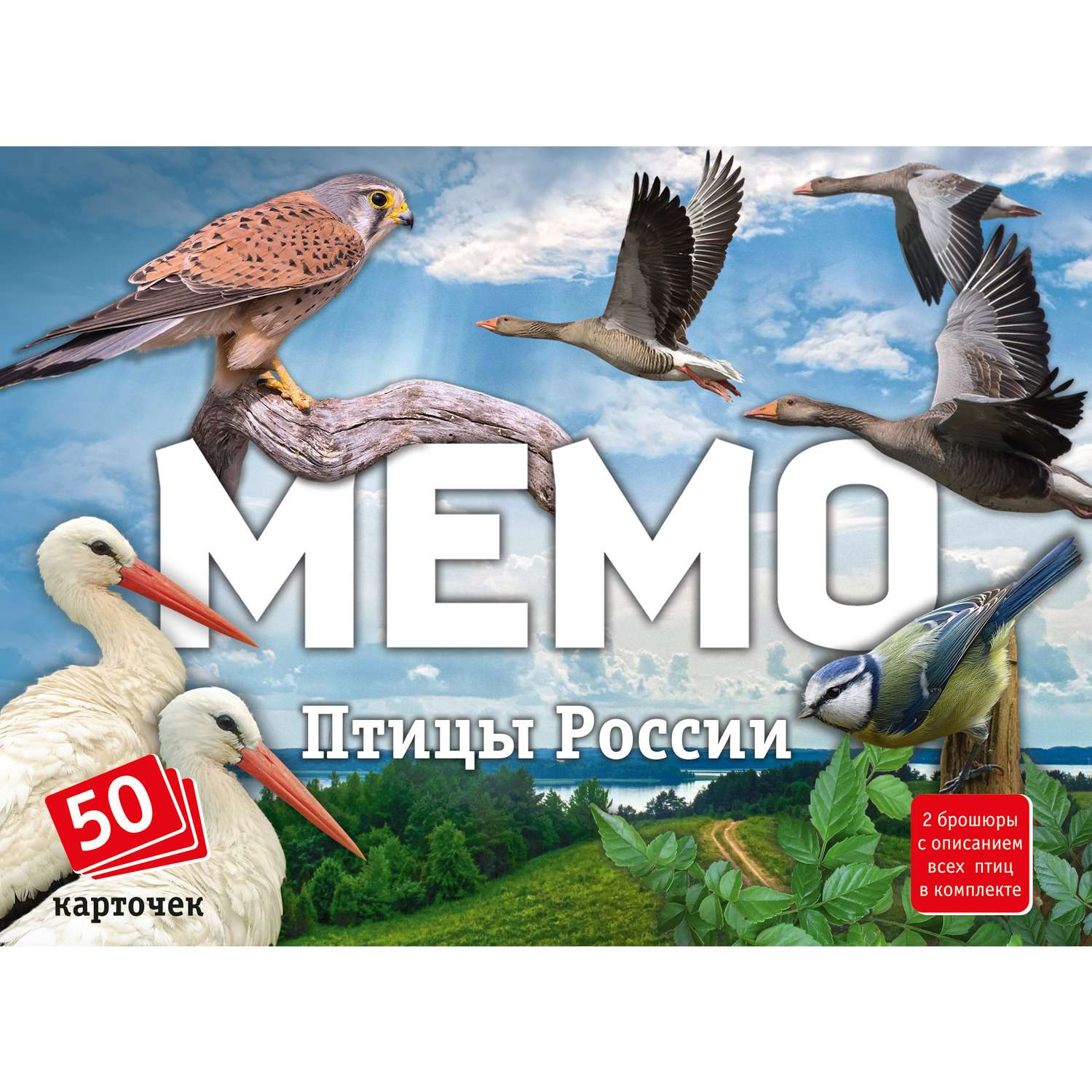 Мемо Нескучные игры Птицы России - фото 1