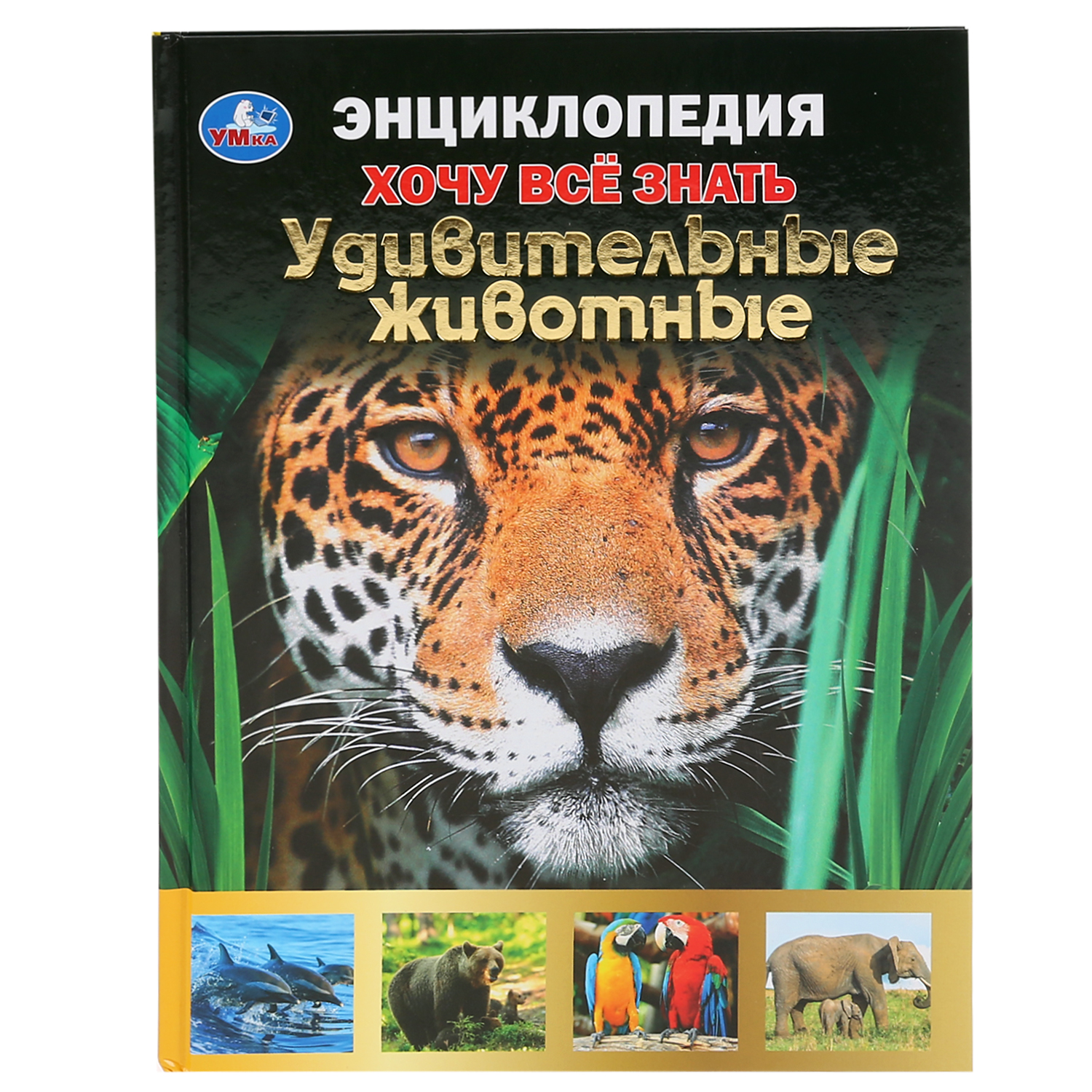 Книга Умка Удивительные животные. Хочу все знать. Энциклопедия А5 - фото 1