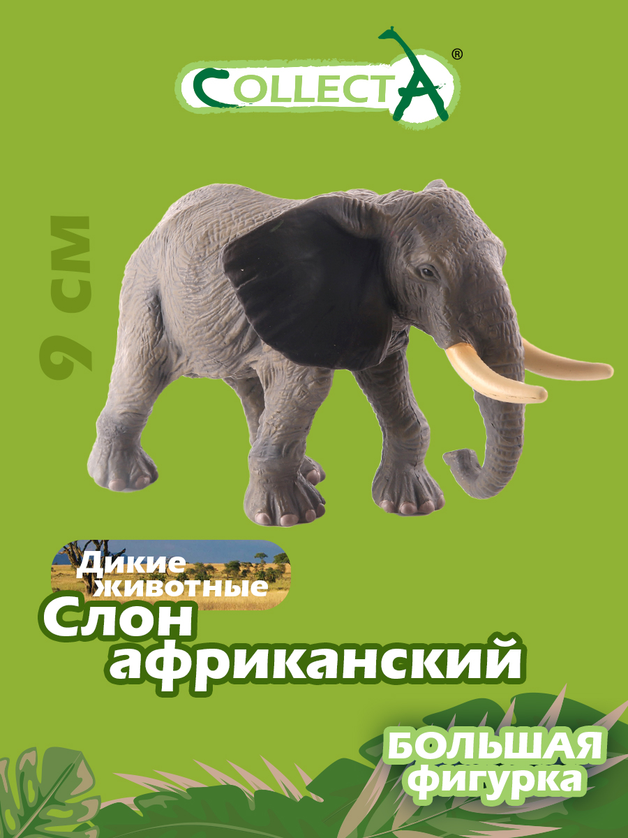 Игрушка Collecta Слон африканский фигурка животного купить по цене 788 ₽ в  интернет-магазине Детский мир