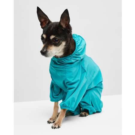 STEMA | Одежда для маленьких собак | VK