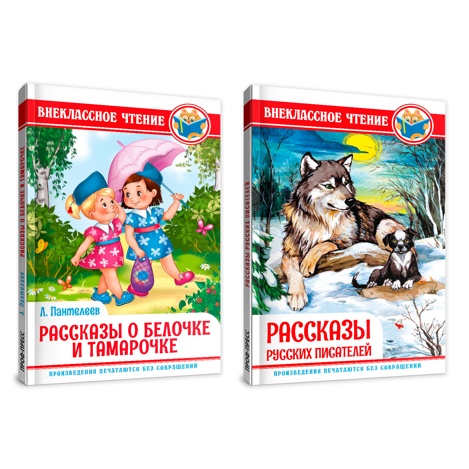 Книги Проф-Пресс 2 шт внеклассное чтение О белочке и Тамарочке  Л.Пантелеев+Рассказы русских писателей купить по цене 380 ₽ в  интернет-магазине Детский мир