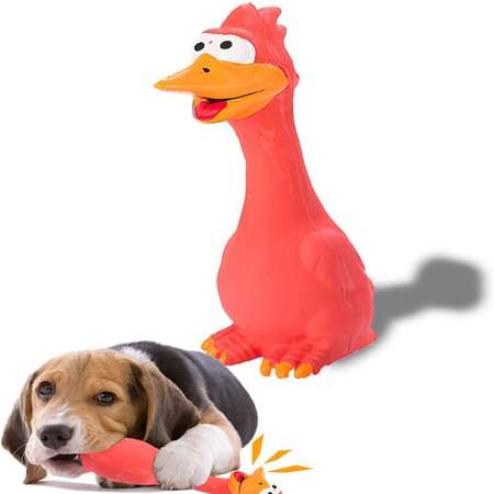Игрушка для собак ZDK курица с пищалкой ZooWell красная