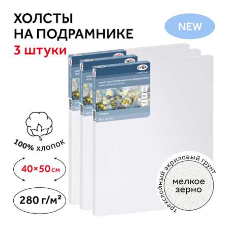 Набор холстов на подрамнике Гамма Студия 3 шт 40х50 см 100% хлопок 280г/м2 мелкое зерно