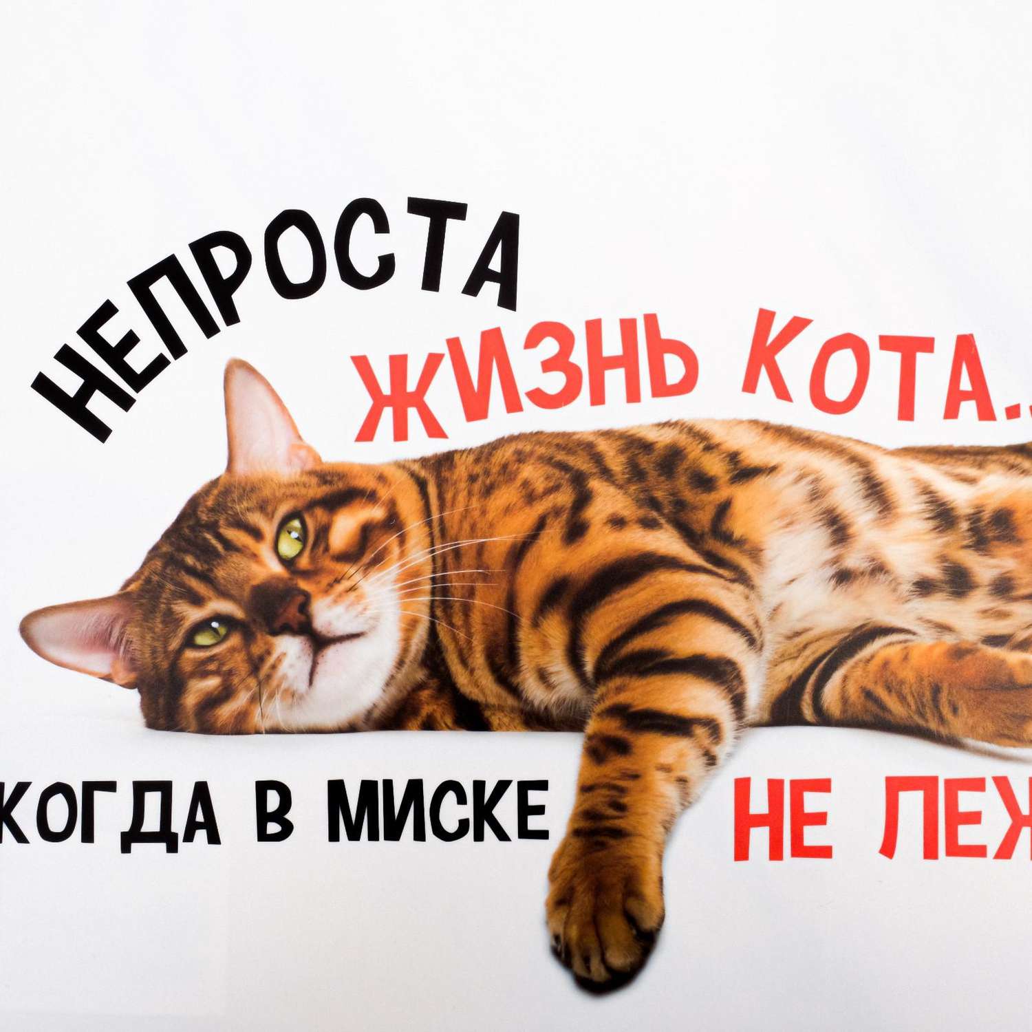 Коврик под миску Пушистое счастье «Не проста жизнь кота» 43х28 см - фото 4