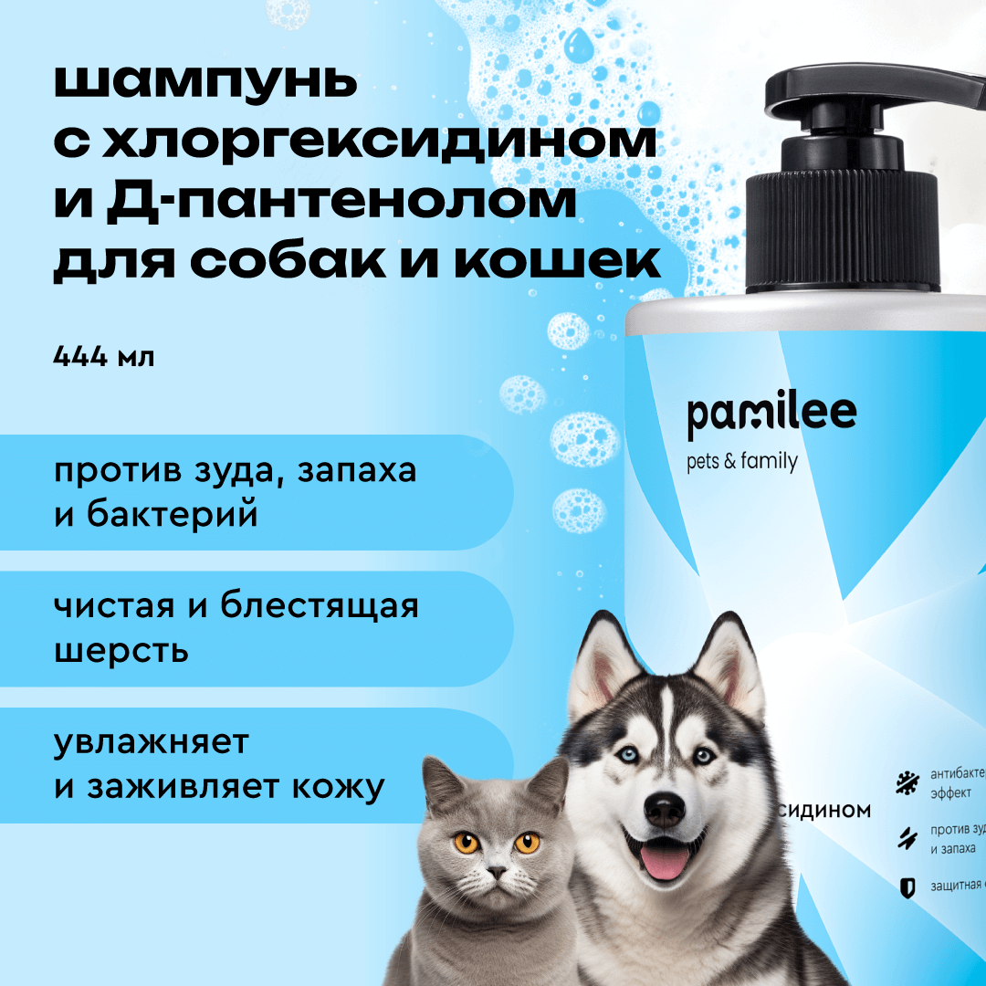 Шампунь для собак и кошек Pamilee с хлоргексидином антибактериальный против  зуда и запаха купить по цене 346 ₽ с доставкой в Москве и России, отзывы,  фото