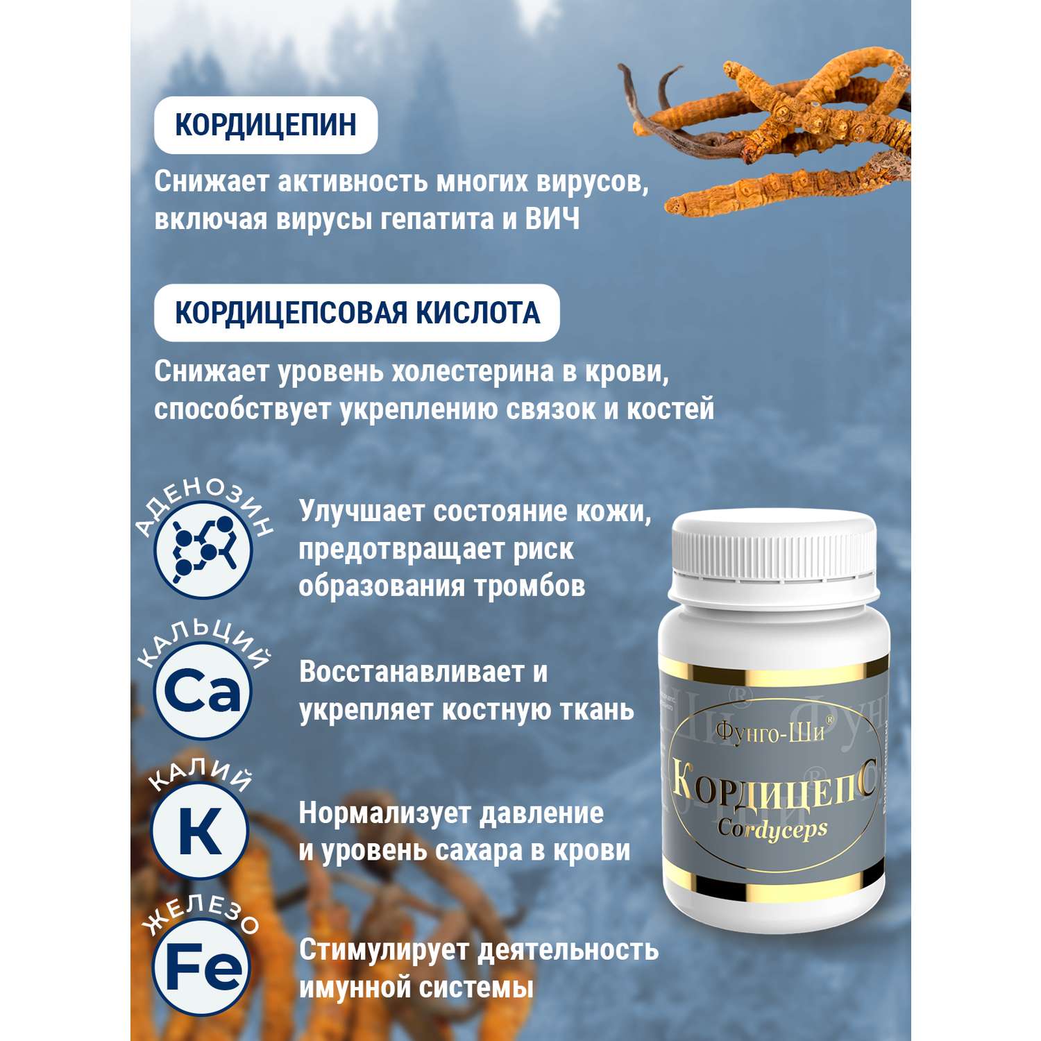 Натуральный грибной препарат Грибная аптека Кордицепс для иммунитета 60 капсул - фото 3