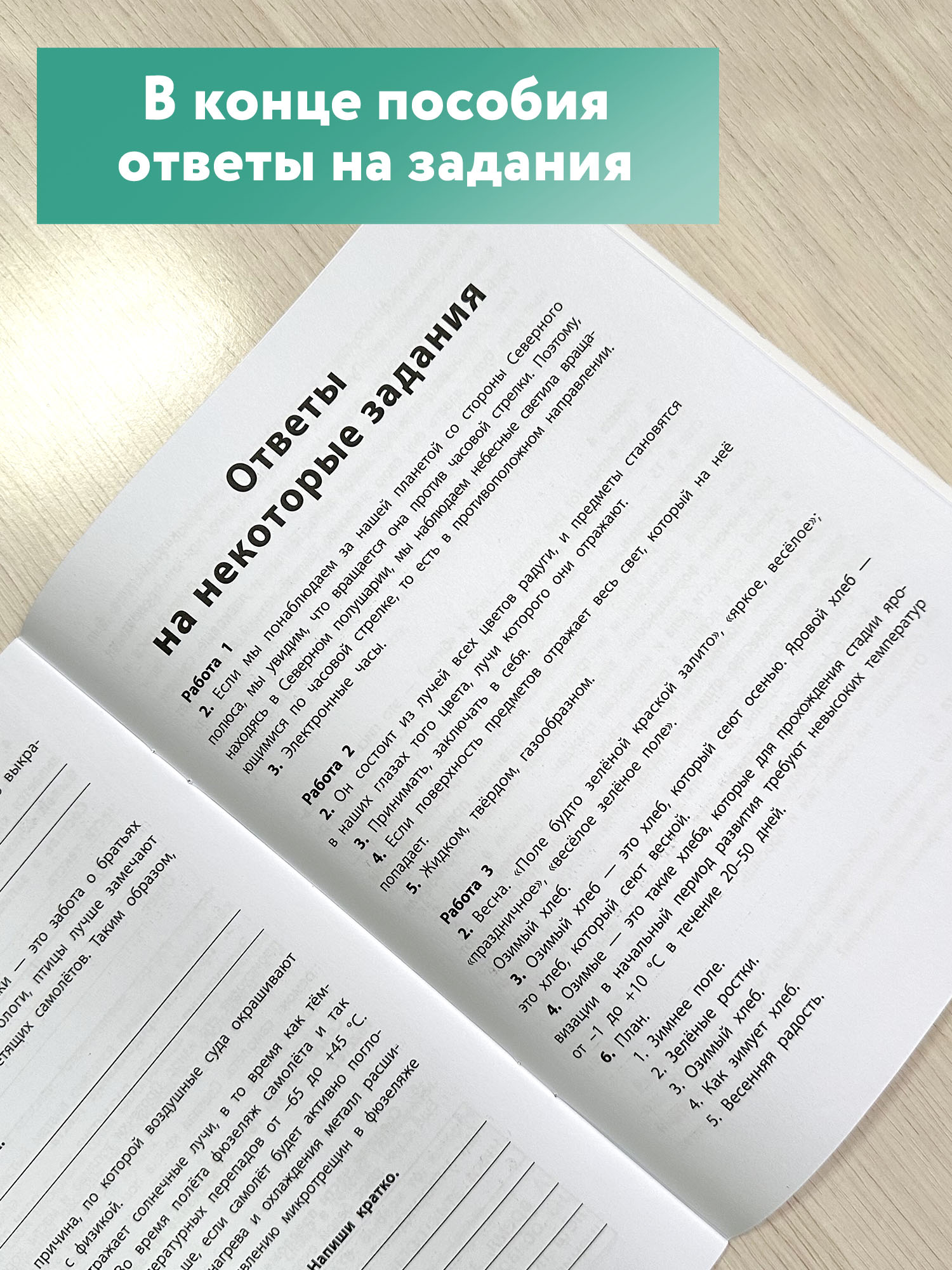 Книга ТД Феникс Функциональное чтение: 4 класс - фото 6