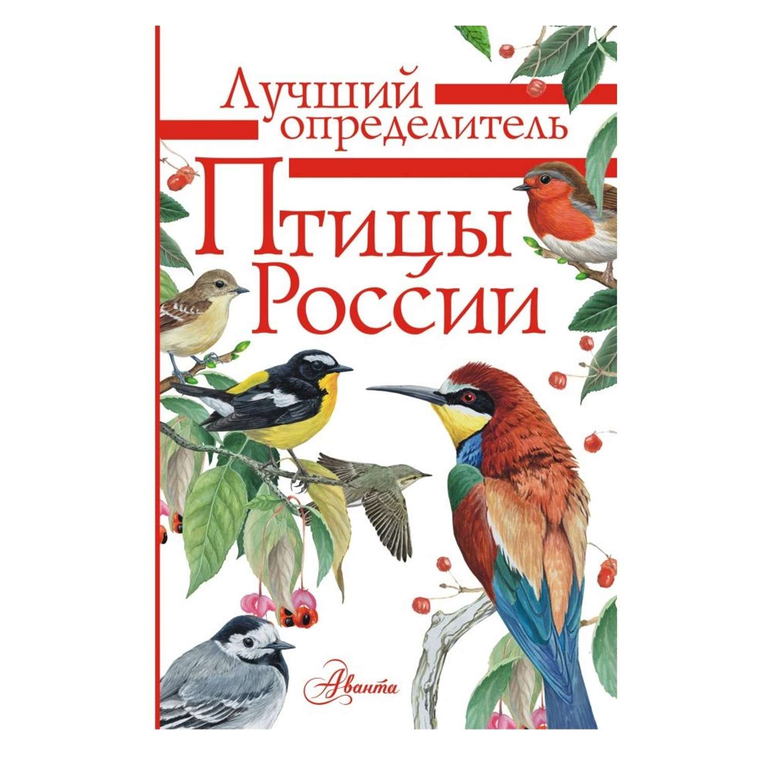 Книга АСТ Птицы России - фото 1