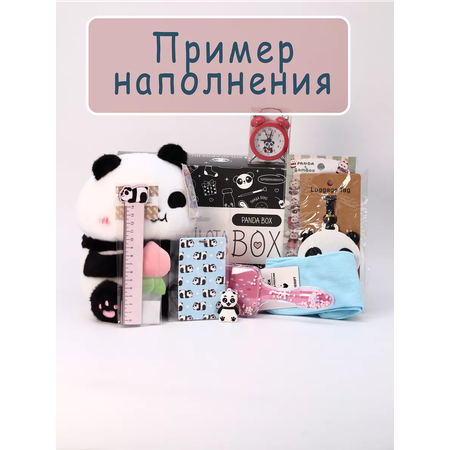 Подарочный бокс для девочки iLikeGift панда