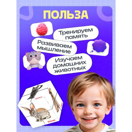 Настольная игра IQ-ZABIAKA Умникуб Домашние животные