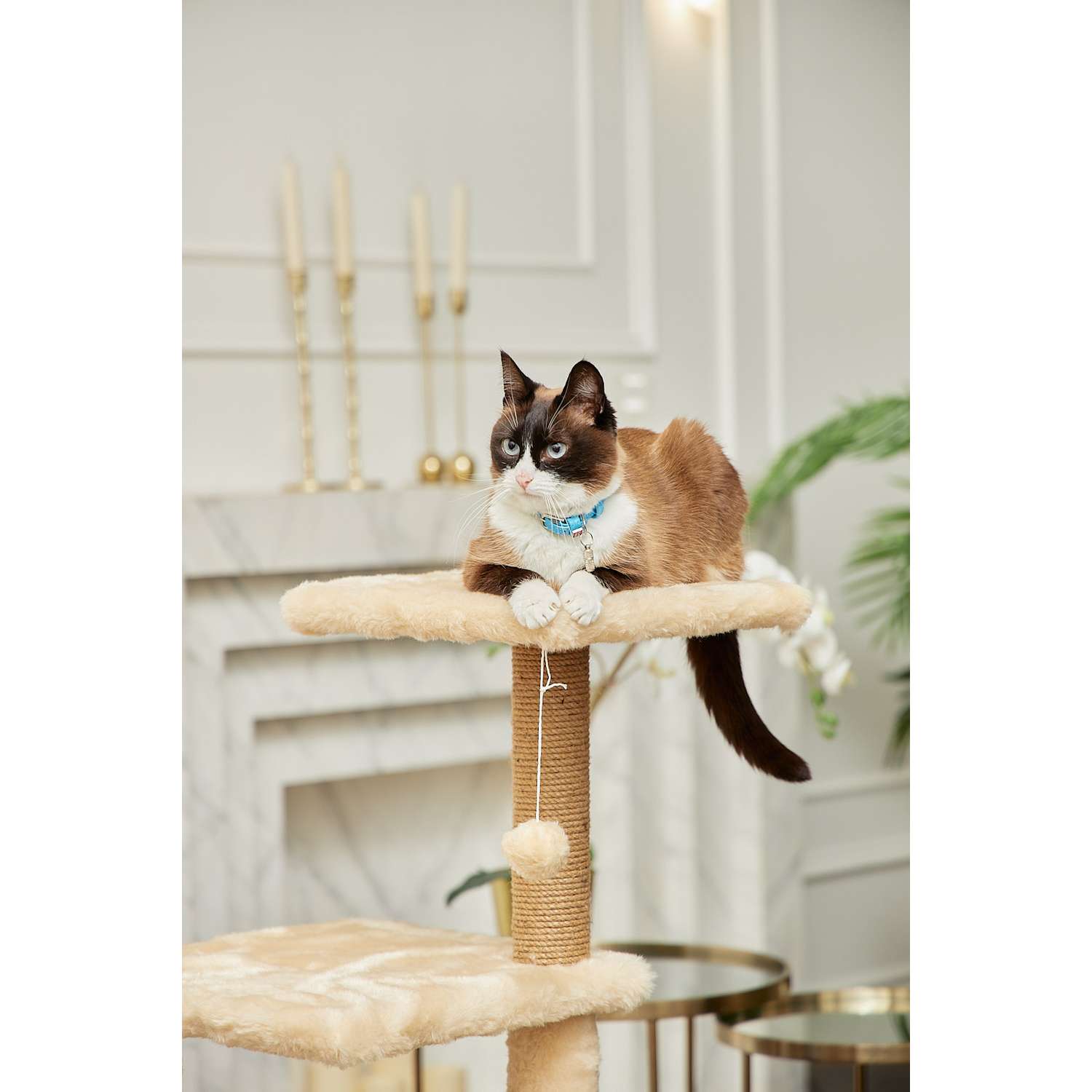 Домик для кошки с когтеточкой Pet БМФ Бежевый - фото 5