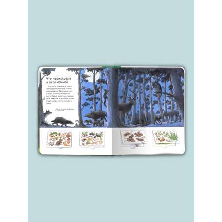 Книга Омега-Пресс Энциклопедия для малышей с окошками. Что? Почему? Зачем? Лес