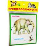 Набор карточек Искатель Противоположности