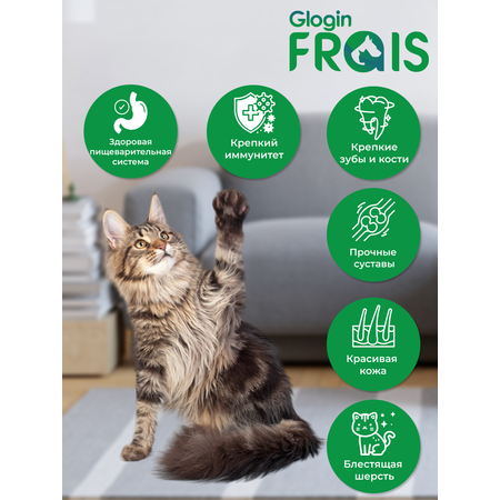 Консервированный корм Frais Влажный корм для кошек Frais Classique с ягненком в нежном соусе, 85 г х 32 шт