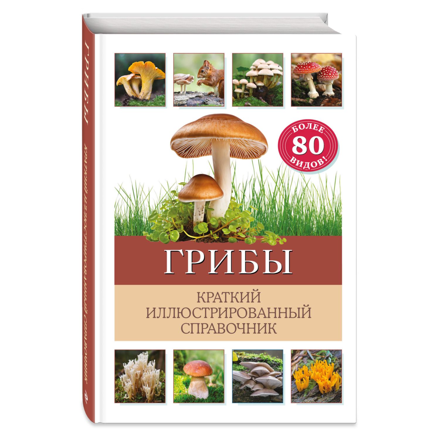 Книга Эксмо Грибы. Краткий иллюстрированный справочник - фото 1