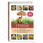 Книга Эксмо Грибы. Краткий иллюстрированный справочник