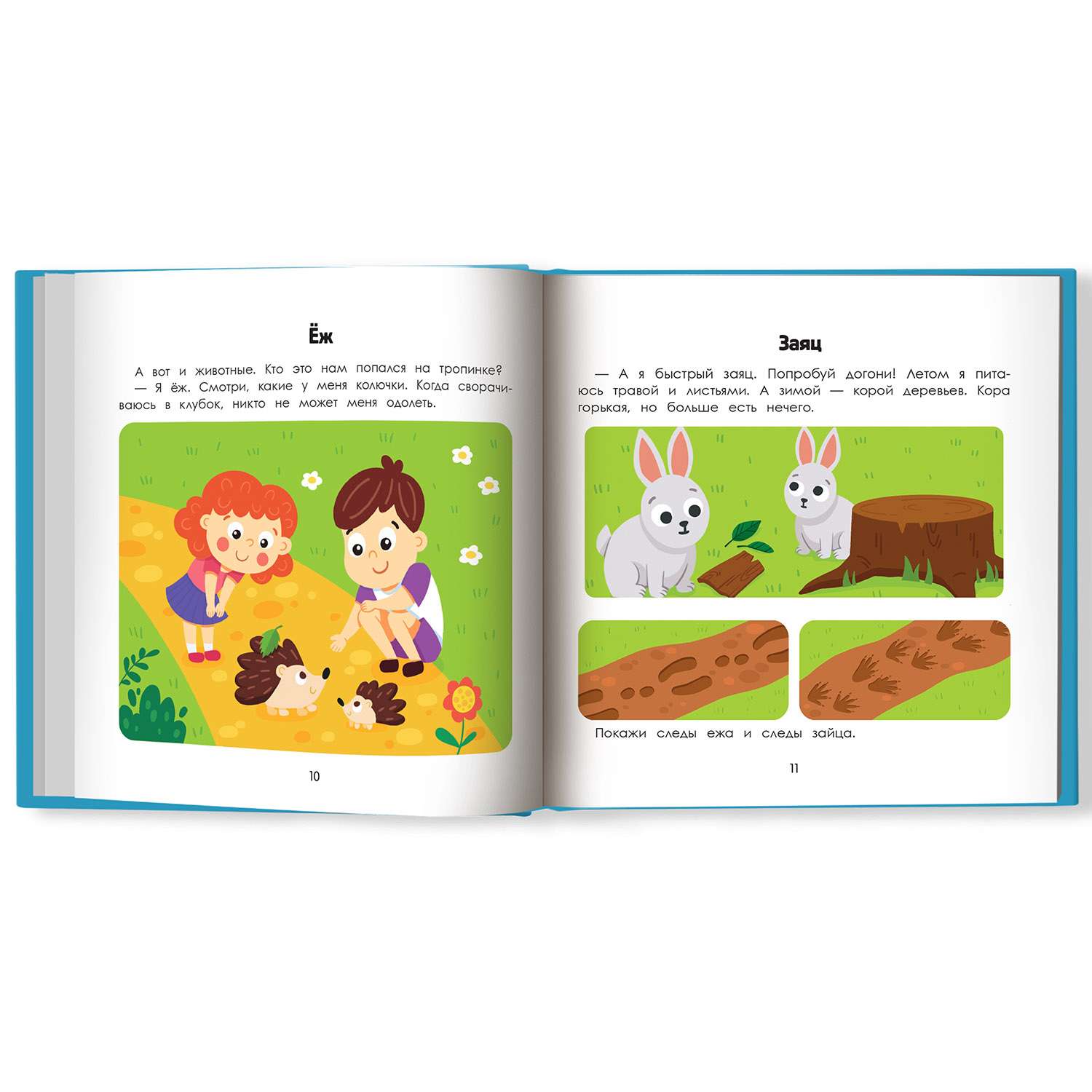 Книга Феникс Премьер Лес. Энциклопедия для малышей в картинках - фото 9