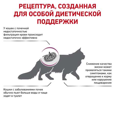 Корм для кошек ROYAL CANIN Renal RF23 лечение заболеваний почек 0.4кг