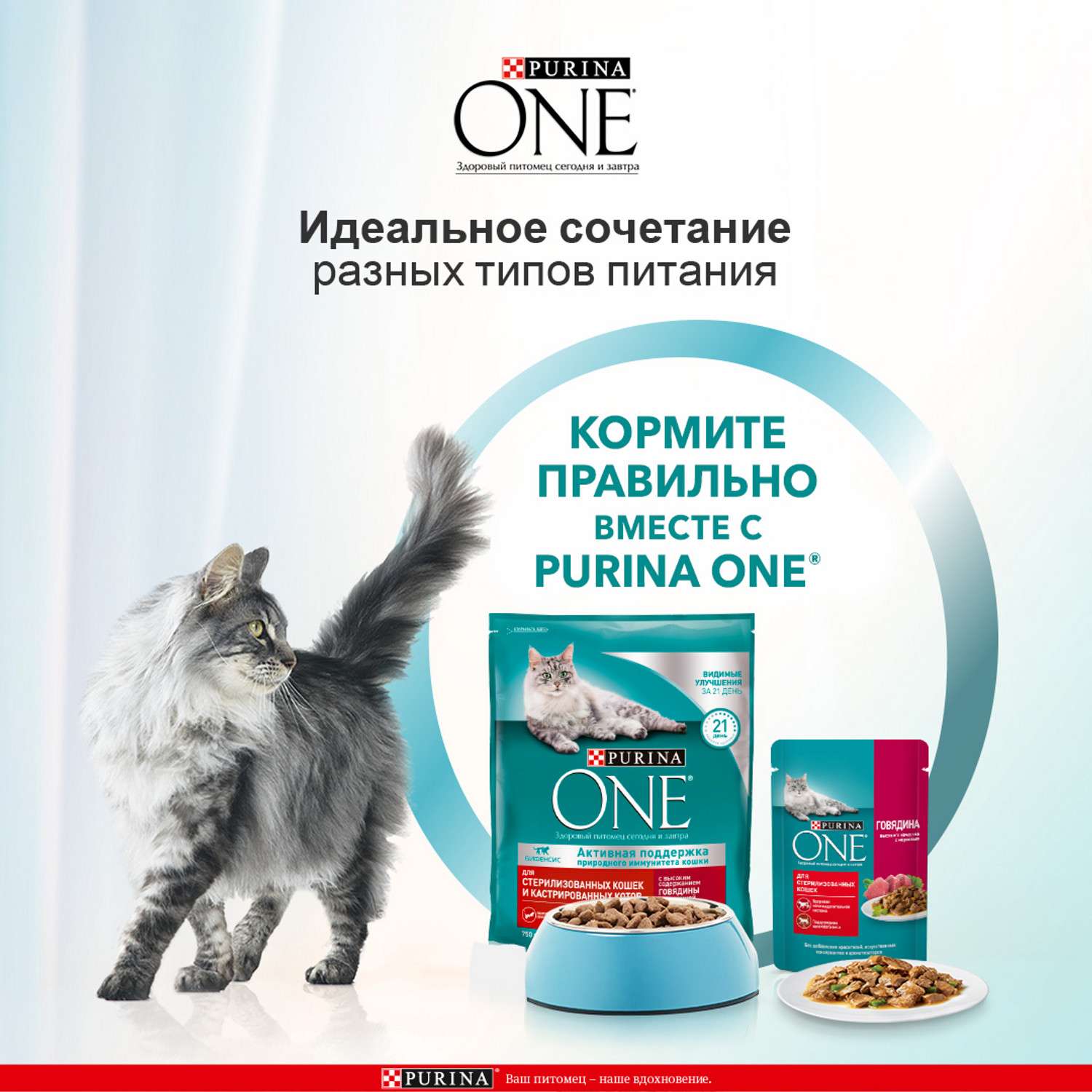 Корм для кошек Purina One при стерилизации и кастрации говядина-пшеница 3кг - фото 6