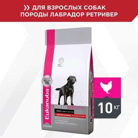 Корм для собак Eukanuba 10кг Dog DNA с мясом птицы для лабрадоров