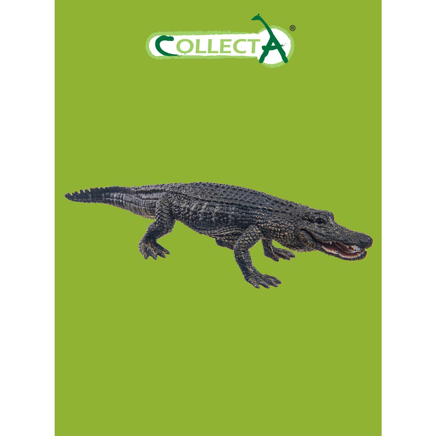 Фигурка животного Collecta Американский аллигатор - фото 1