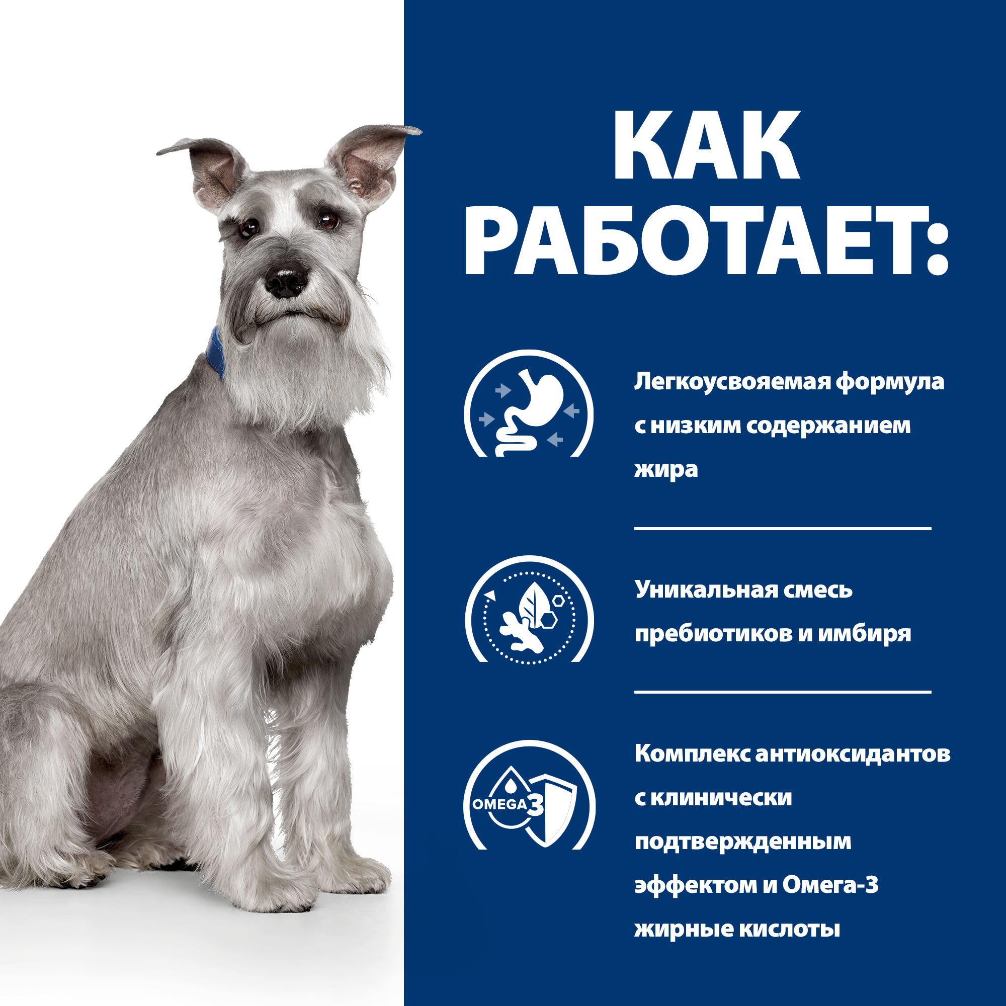Корм для собак Hills 4кг Prescription Diet i/d Low Fat при растройствах пищевания с курицей - фото 4