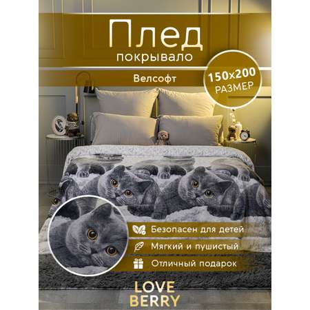 Плед LOVEBERRY 1,5 спальный британцы