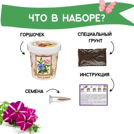 Набор для выращивания растений Rostok Visa Вырасти сам цветок Петуния в подарочном горшке