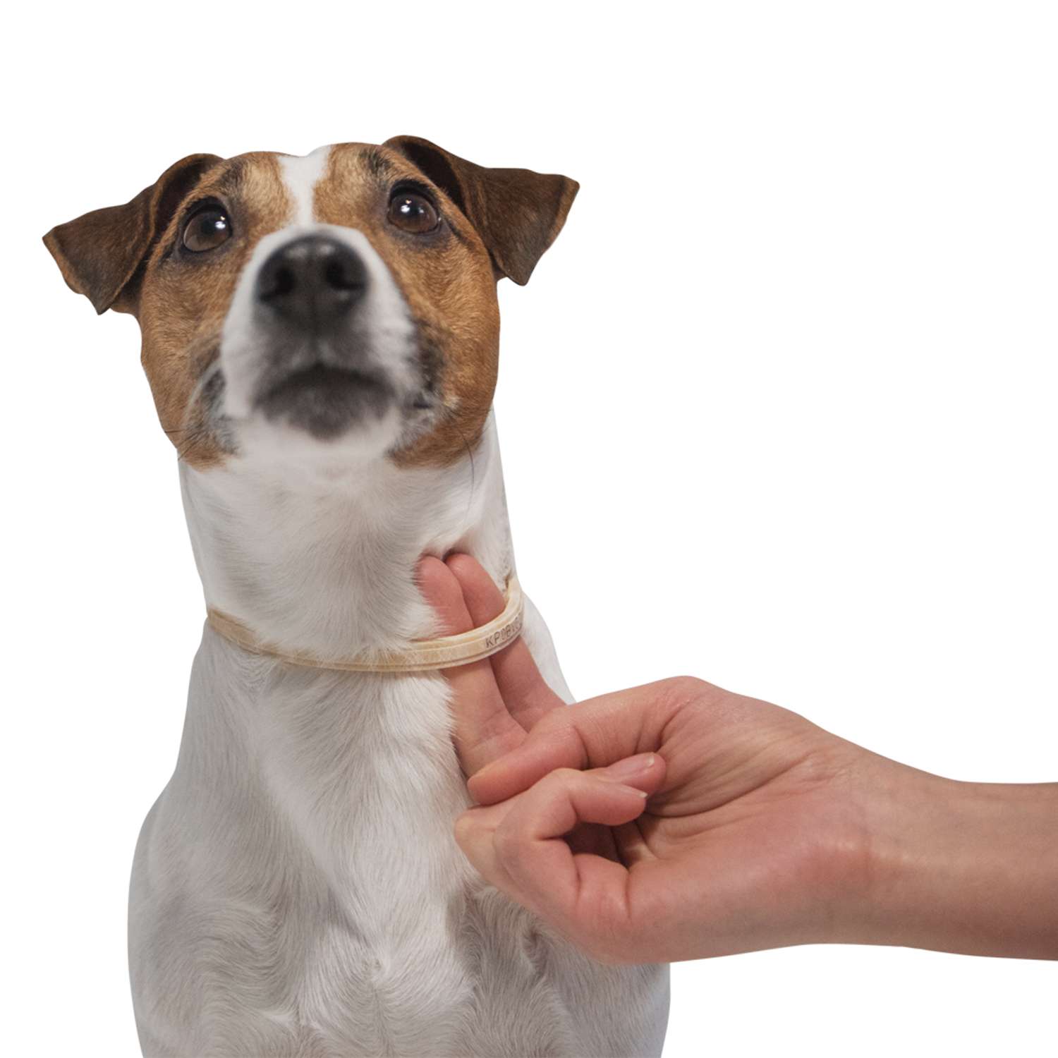 Ошейник для собак Elanco Килтикс против блох и клещей 35см - фото 4