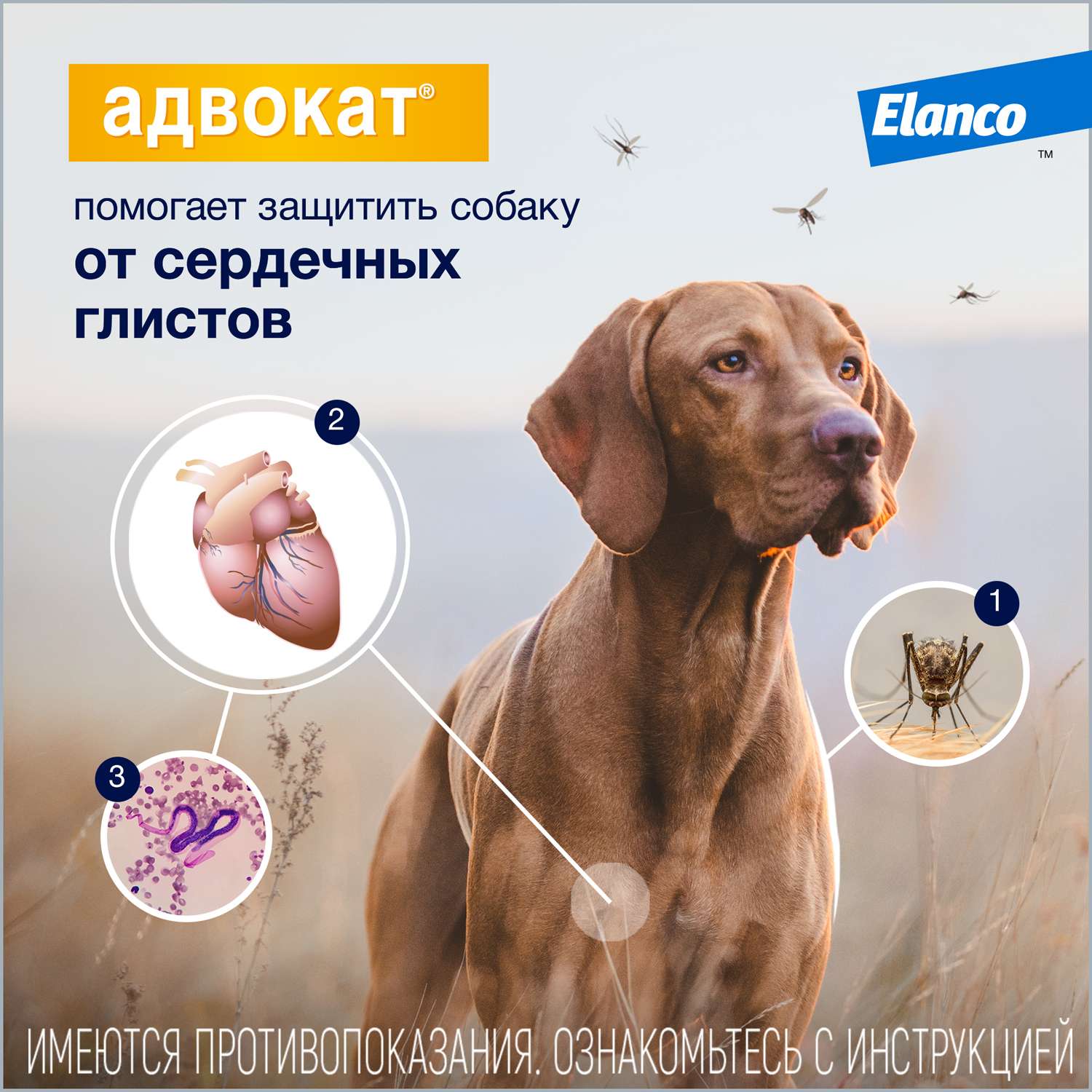Препарат инсектоакарицидный для собак Elanco Адвокат 2.5мл 3пипетки - фото 6