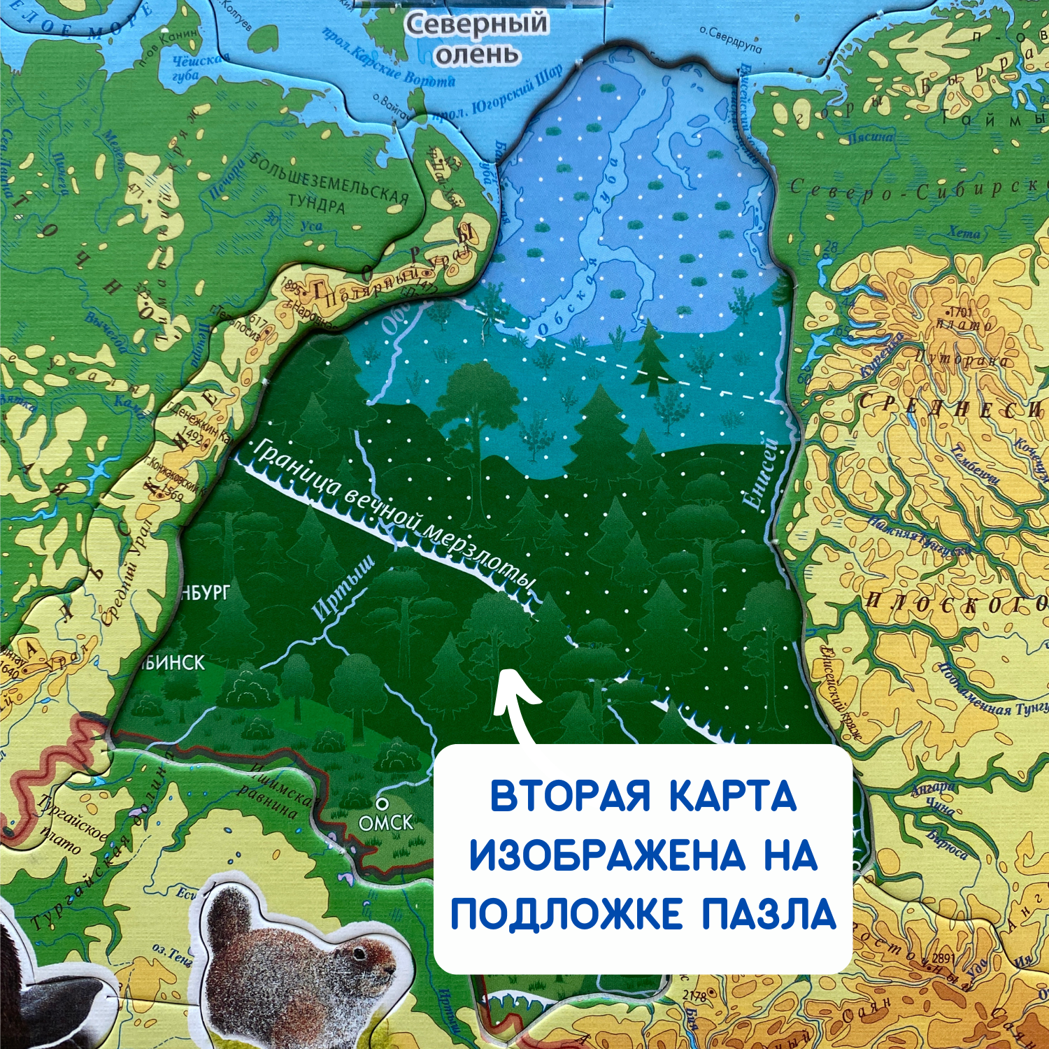 Карта-пазл георафический АГТ Геоцентр Животные и Природные Зоны России 67 деталей 34х46 см - фото 4