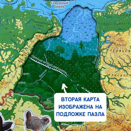 Карта-пазл георафический АГТ Геоцентр Животные и Природные Зоны России 67 деталей 34х46 см