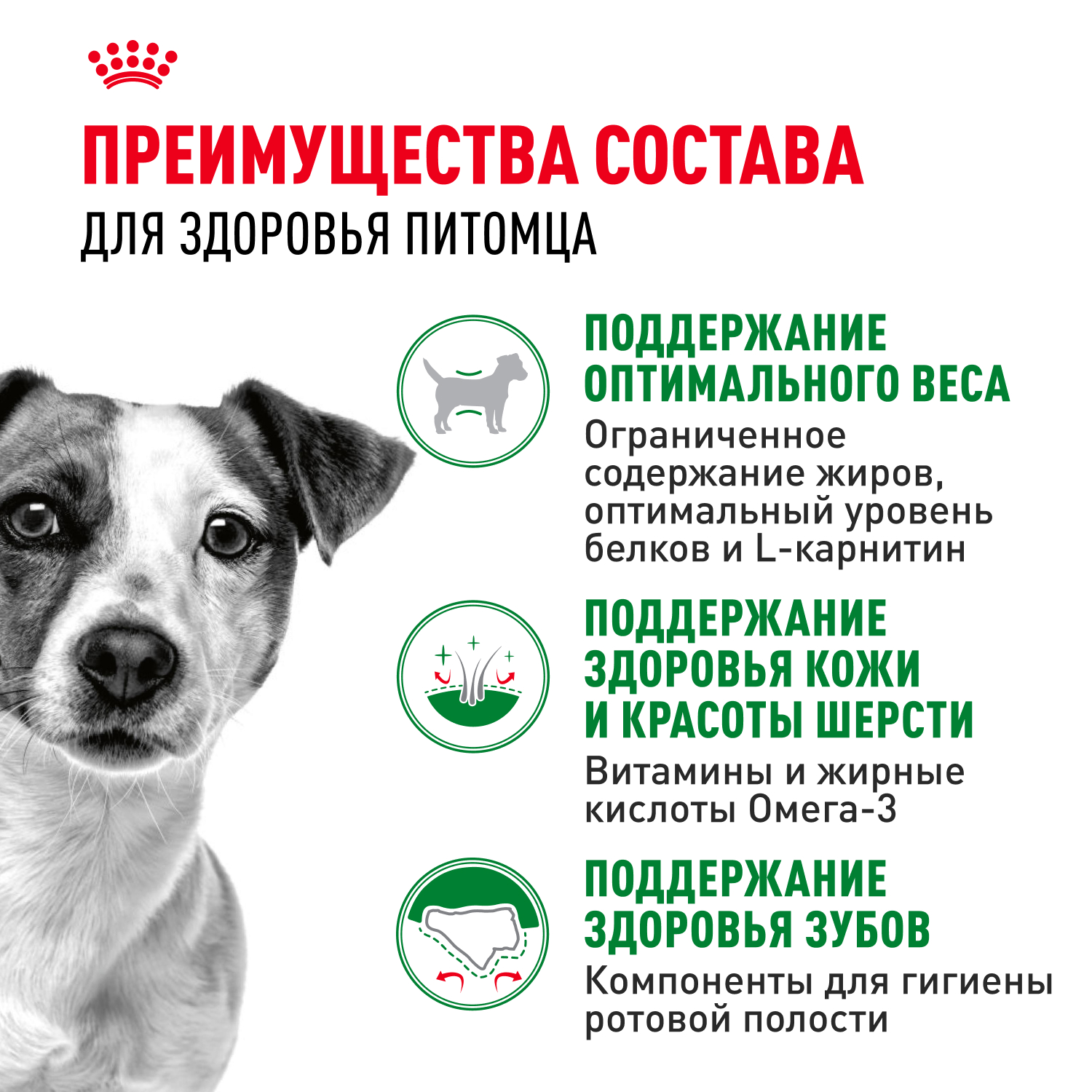 Сухой корм для собак ROYAL CANIN 2 кг (для домашних, полнорационный) - фото 4