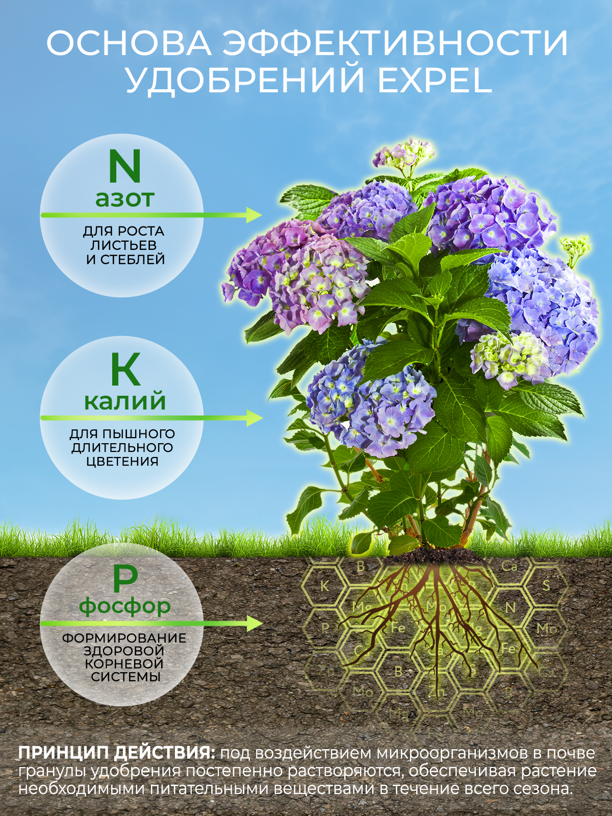 Удобрение для гортензии Expel 12 органик микс NPK 4-2-1 - фото 2