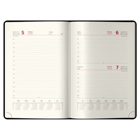 Ежедневник датированный 2024г BERLINGO Starlight S голубой
