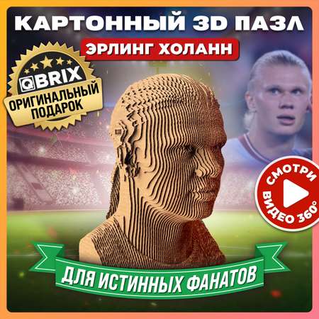 Конструктор 3D картонный QBRIX Эрлинг Холанн