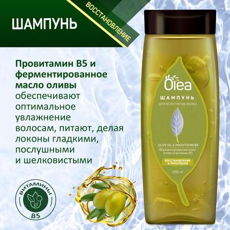 Набор olive collection OLEA Шампунь и бальзам для всех типов волос