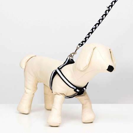 Комплект для собаки Пижон «Плетенка» флуоресцентный поводок 115 х 1 см и шлейка 32-48 см чёрный