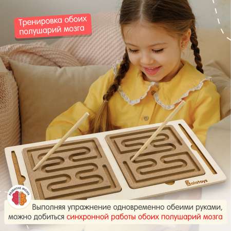 Игрушка Alatoys сортер Межполушарная доска