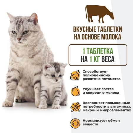 Витамины для кошек Unitabs Mama+Kitty c B9 120таблеток