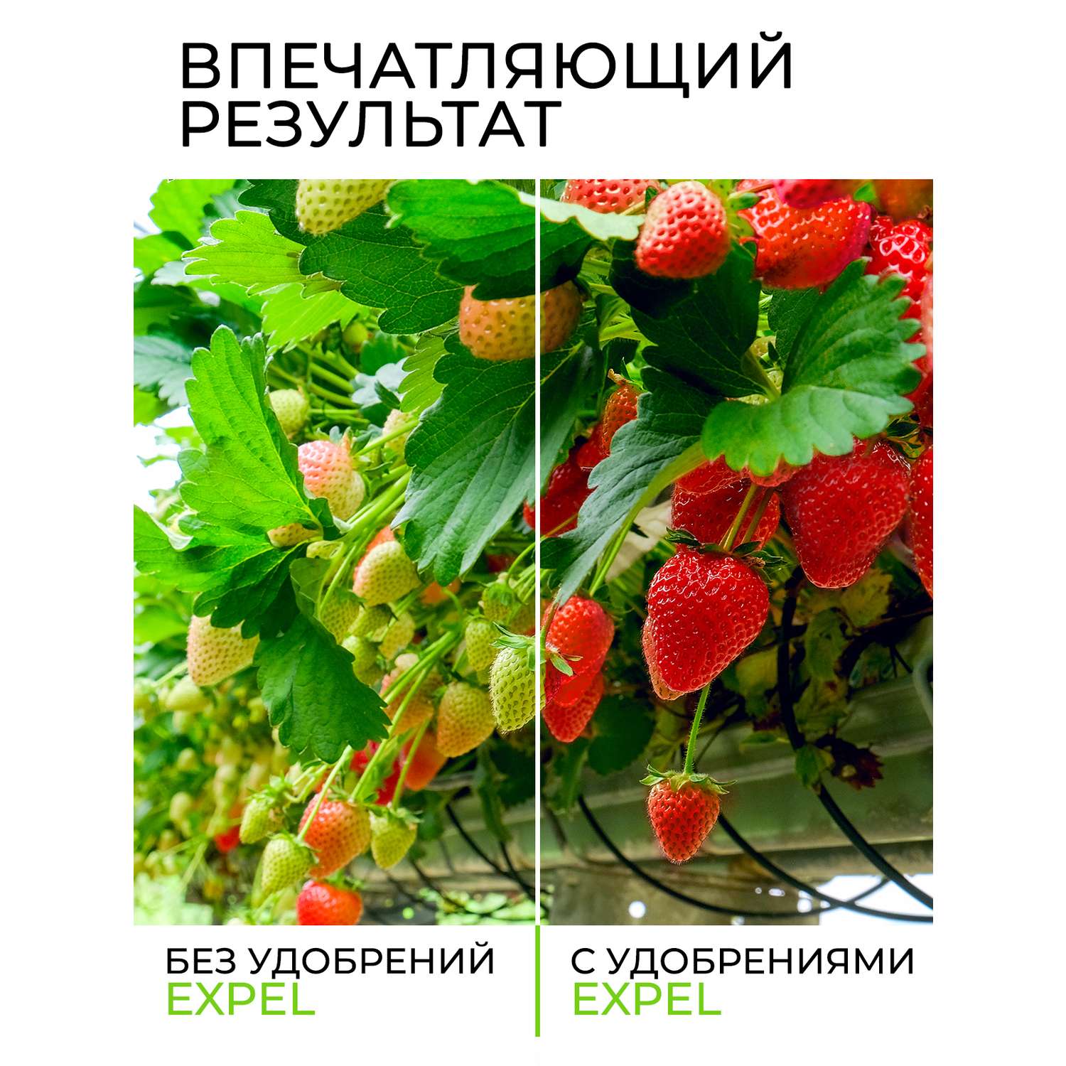 Удобрение Expel для клубники и ягодных 12 органик микс NPK 4-2-1 - фото 4