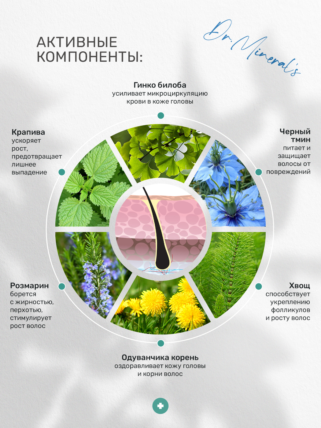 Шампунь для волос Dr.Minerals Стимуляция роста - сила и питание 400 мл - фото 5