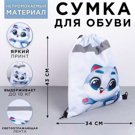 Мешок для обуви ArtFox «Котик». 41х34 см