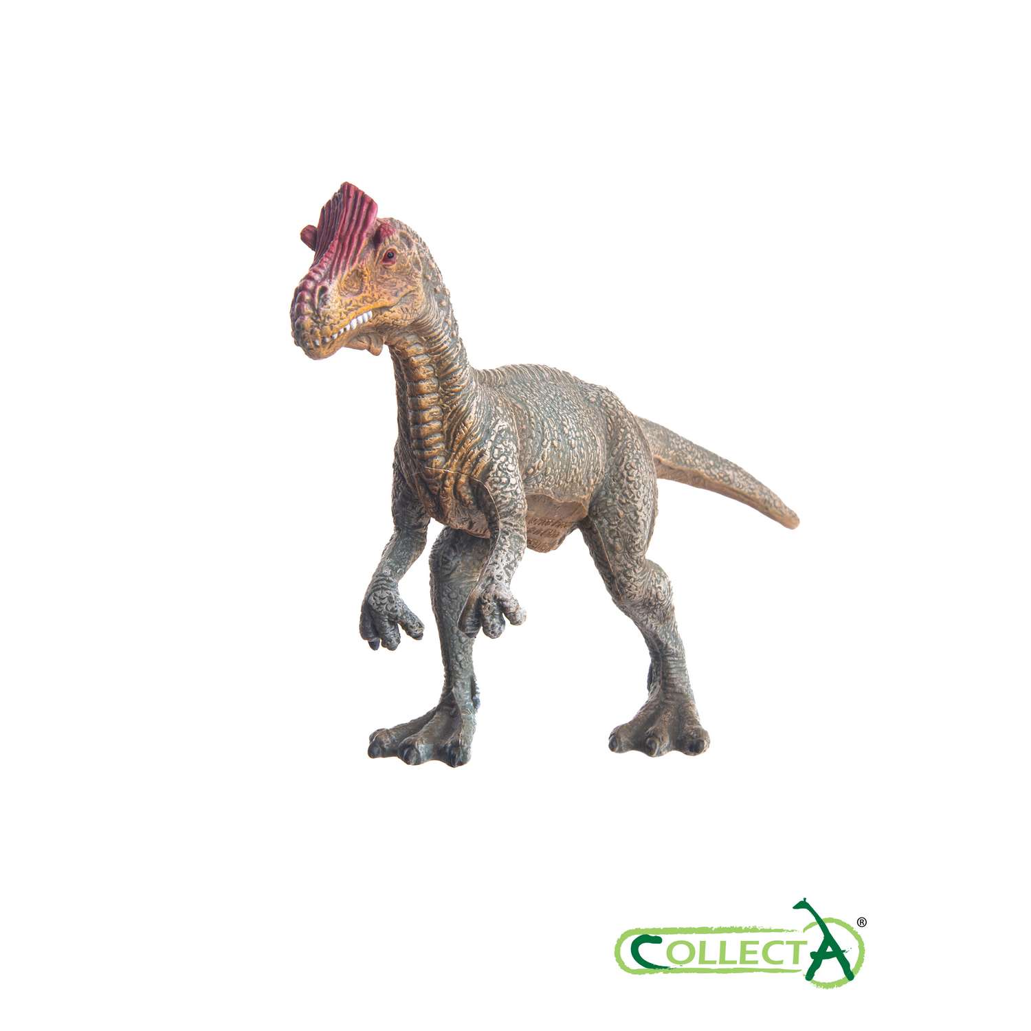 Фигурка динозавра Collecta Криолофозавр - фото 3
