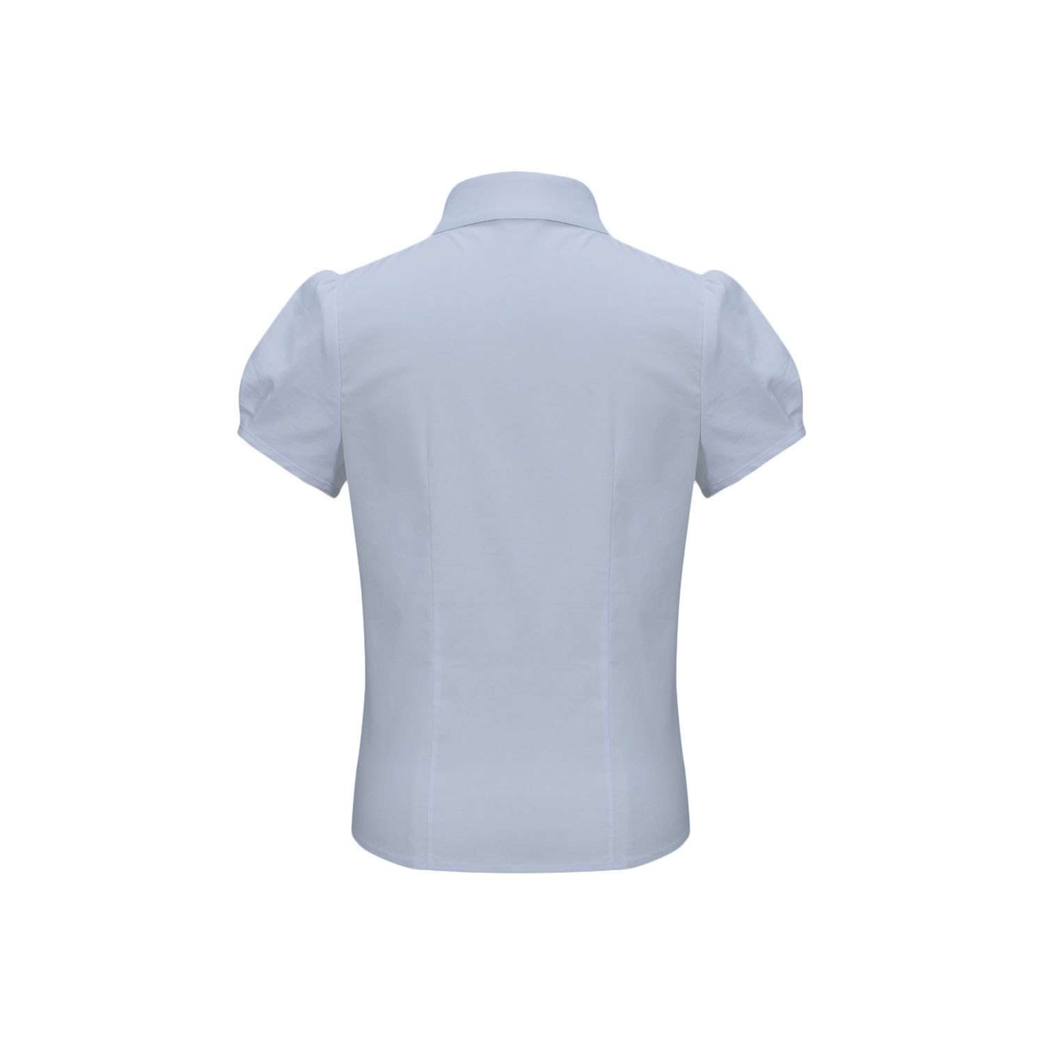 Рубашка Stylish AMADEO AB-101-голубой - фото 2