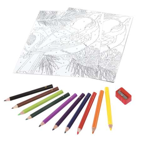 Раскраска по номерам Юнландия Птичка А4 с цветными карандашами на картоне