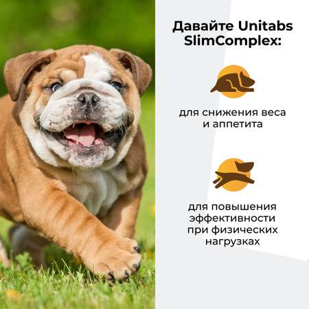 Витамины для собак Unitabs SlimComplex с Q10 100таблеток