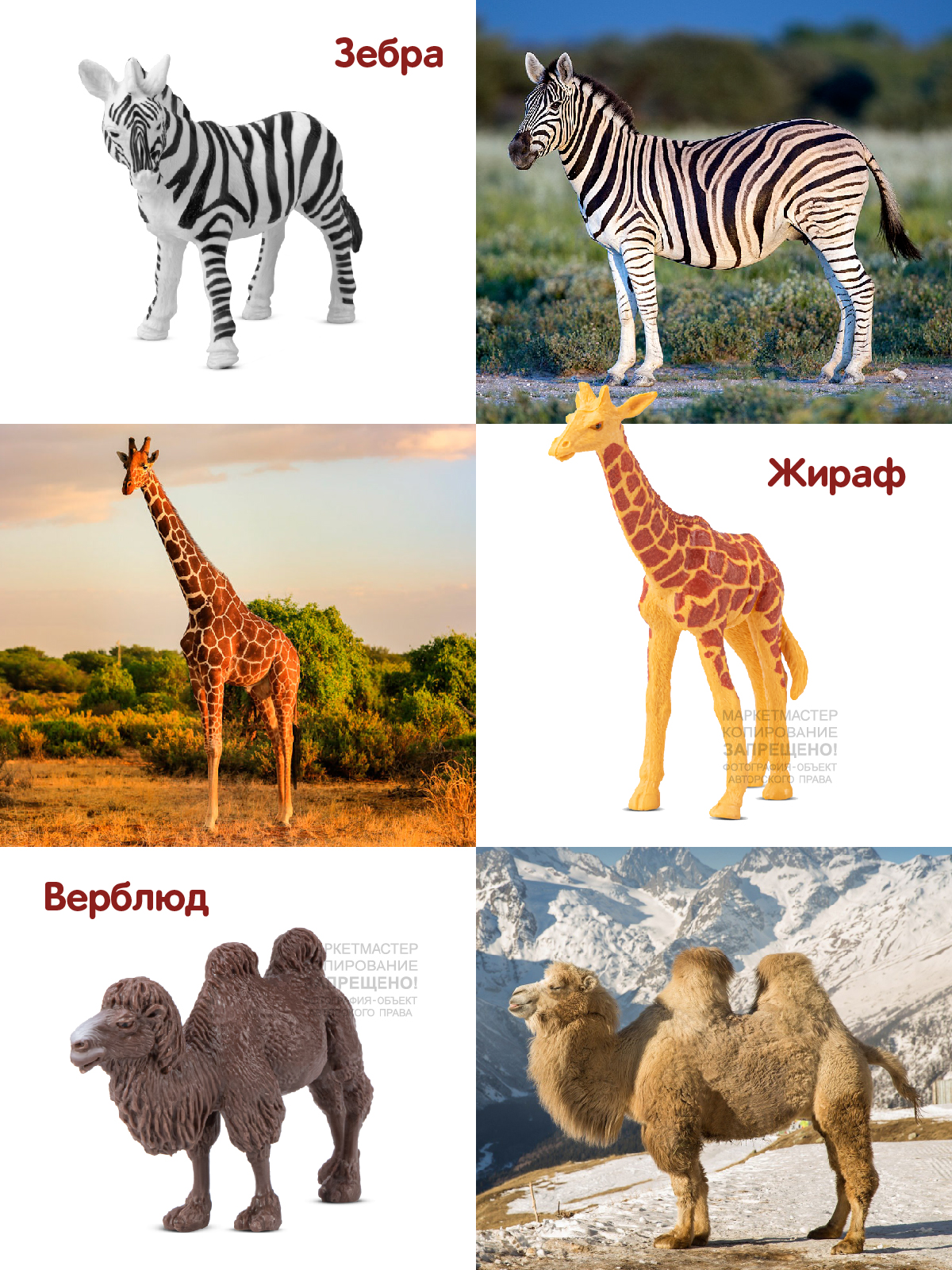 Игровой набор детский ДЖАМБО Животные Африки фигурки 6 шт JB0207202 - фото 3
